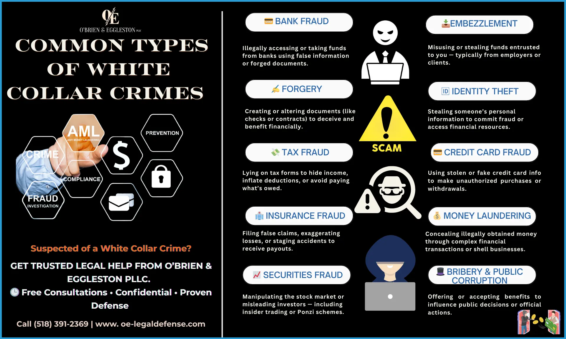 Infographic on common white collar crimes like bank fraud, embezzlement, tax fraud, and money laundering in Albany, NY.